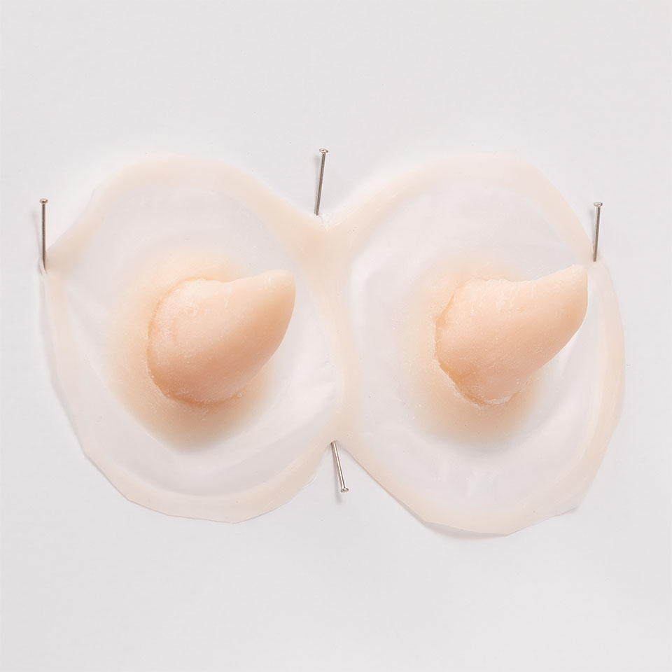 Screen Horns Berghmans FX Medium Horns | Screenface